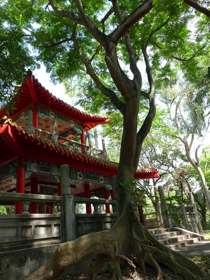 Trees green 灣 lake cool booths