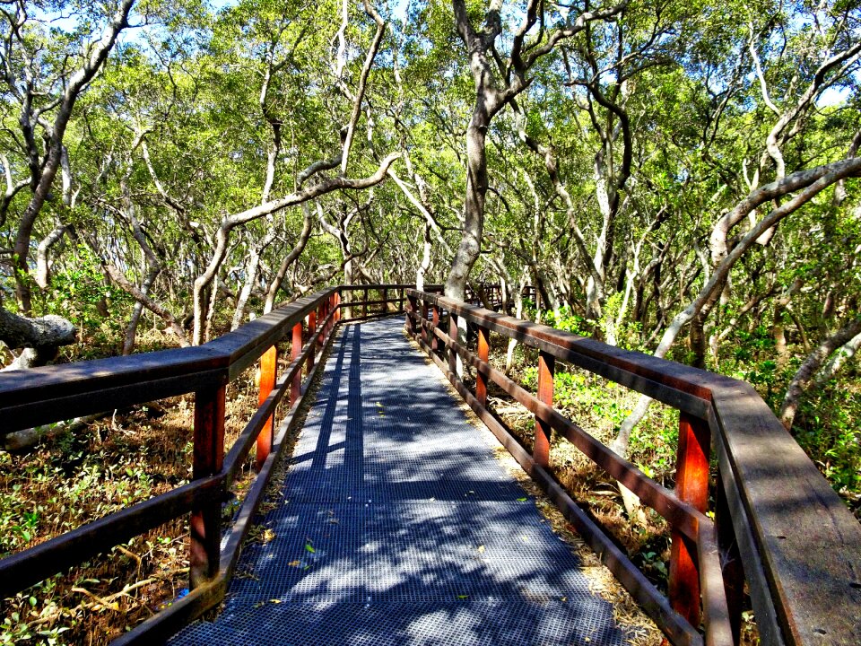 Pathway walk path photo