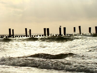 Web water distant photo