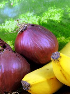 Fruit vegetables foods