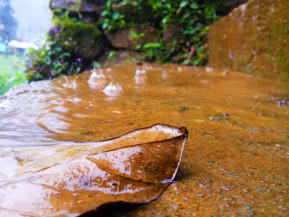 Alone autumn weather