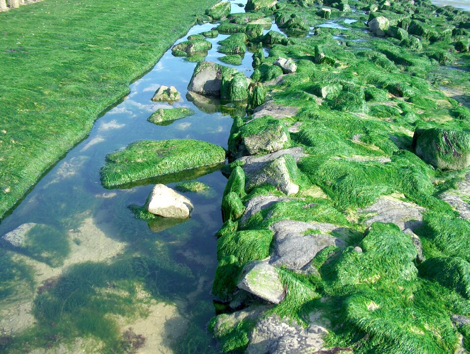 Pole head stones water