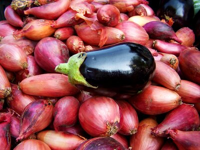 Eggplant hagymaágyon vegetables food