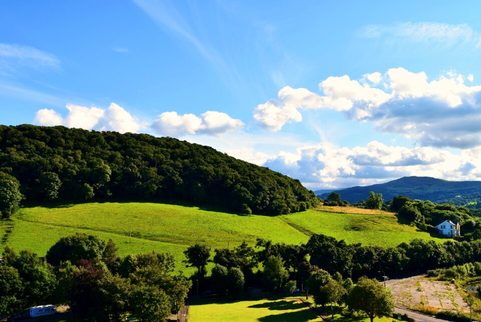 Sky blue green