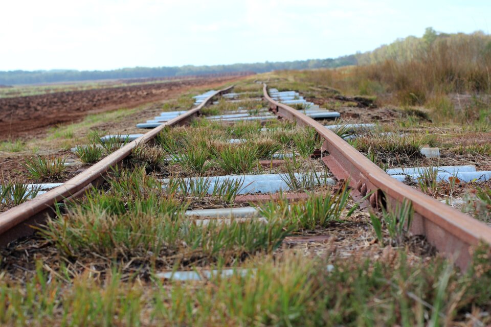 Nature endless track bed