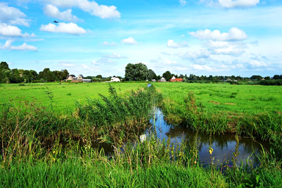 Meadow ditch water