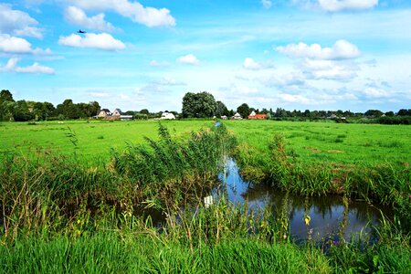 Meadow ditch water photo