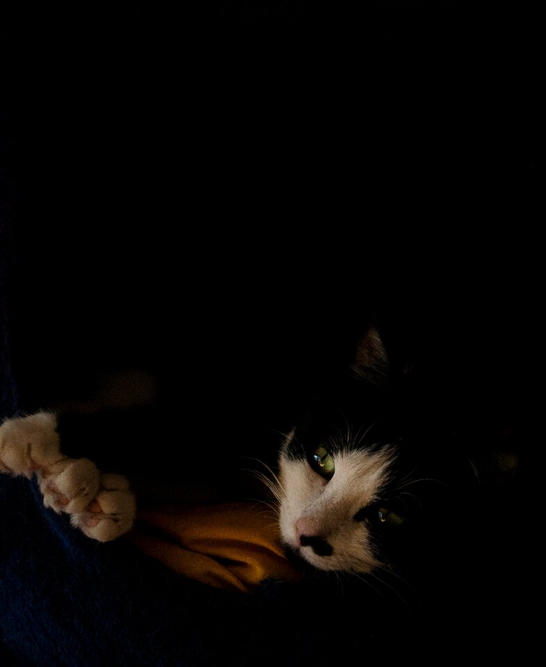 Nap comfort black background