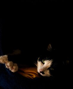 Nap comfort black background