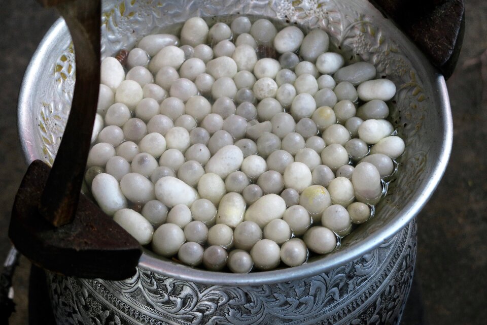 Cocoons silk cocoons silk thread