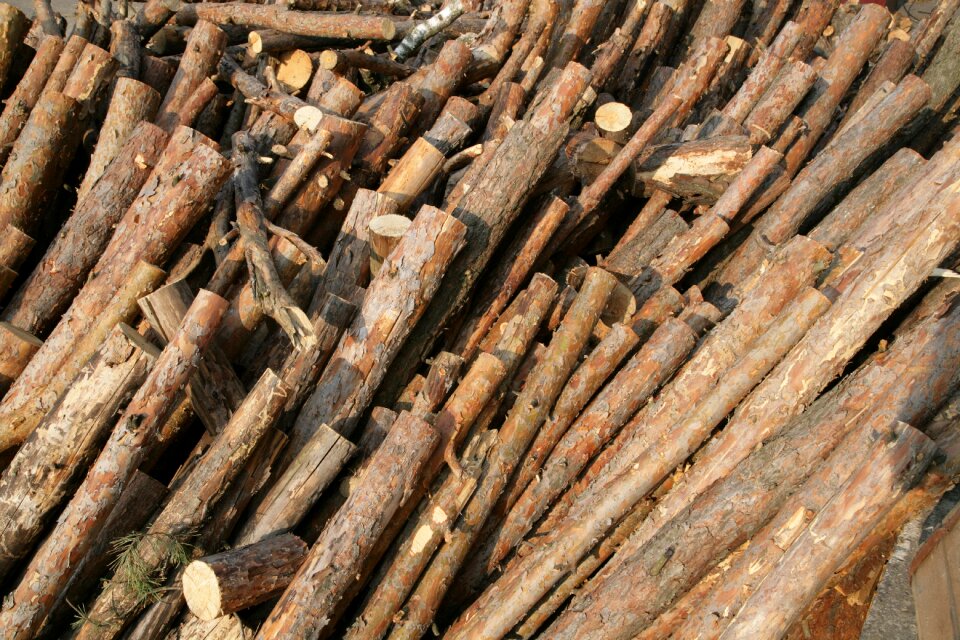 Coal firewood black