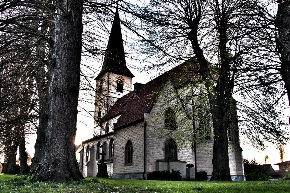 Trees abendstimmung religion