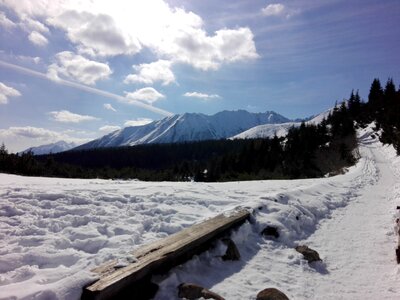 Winter landscape trail