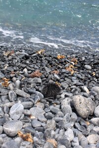 Pebble water greece