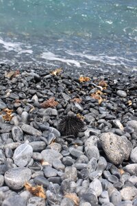 Pebble water greece photo