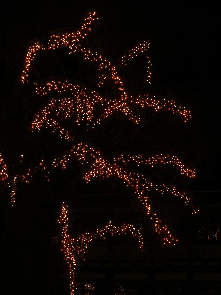 Lights lichterkette night