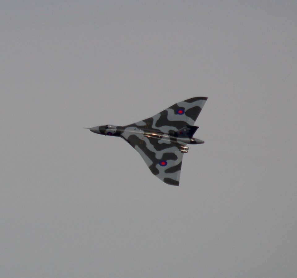 Bomber delta wing camouflage