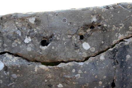 Stone laugh funny