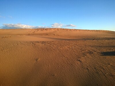 Nature blue sky dahl photo