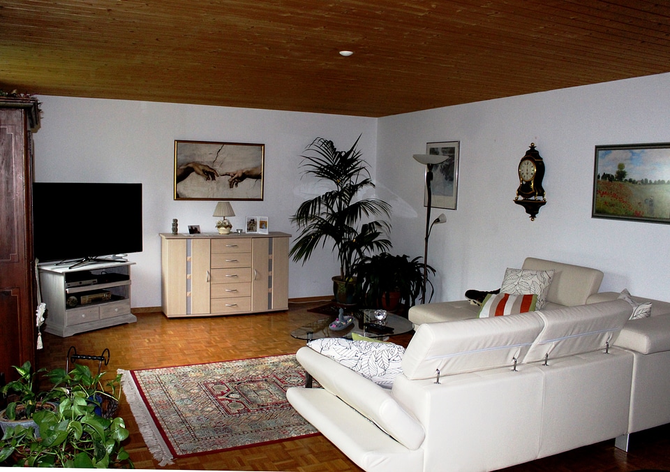 Wooden ceiling parquet floor furniture