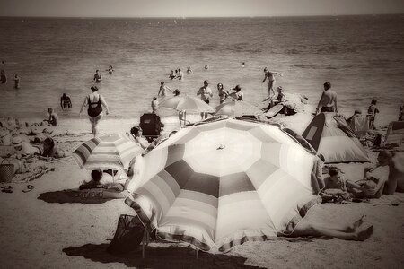 Sea parasol sun photo