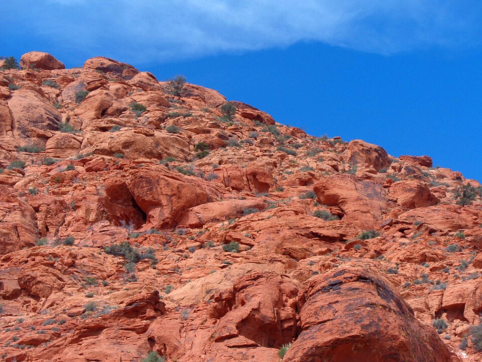 Calico basin red rocks las vegas