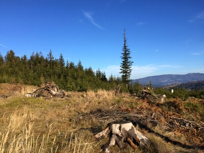 Mountains wisla forest