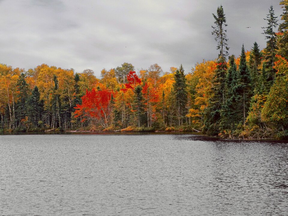 Landscape nature scenic
