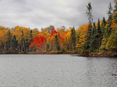 Landscape nature scenic photo