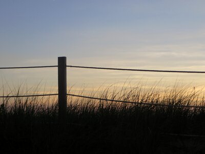 Dusk evening grass photo