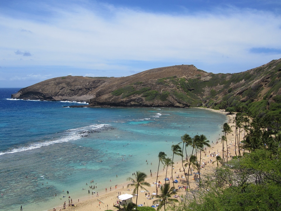 Hawaii beach bay photo