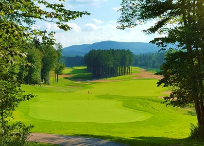 Green field green golf