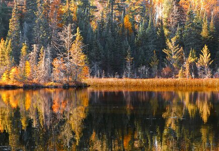 Autumn nature landscape