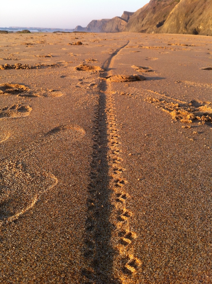 Sand coast shore