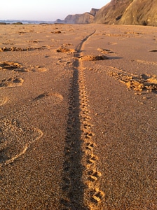 Sand coast shore