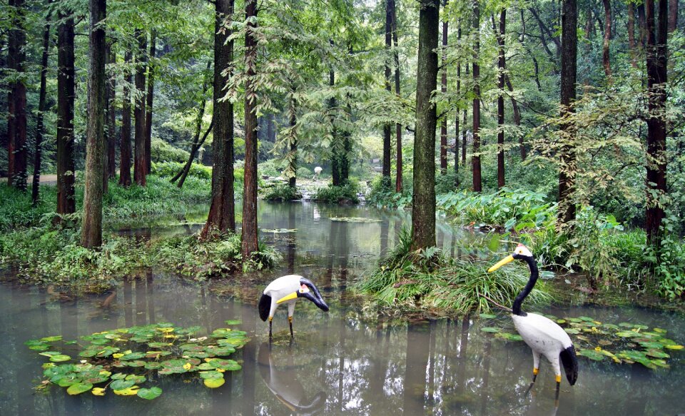 Water statues reflections