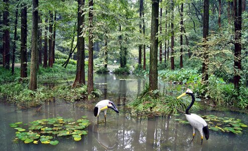 Water statues reflections