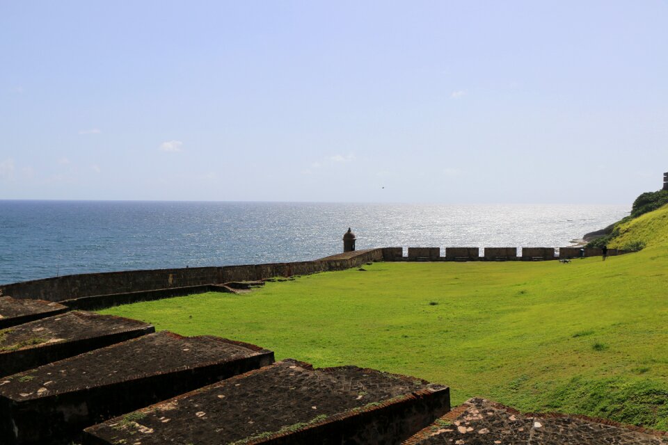 Landscape green meadow sea