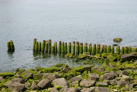 Pole row water