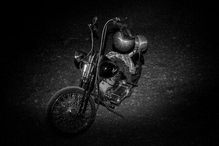 Harley davidson black and white