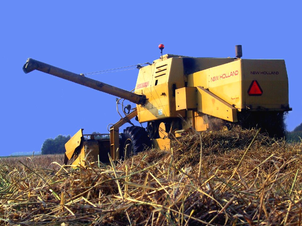 New-holland grain harvest wheat harvest