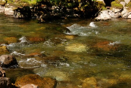 River bright stones photo
