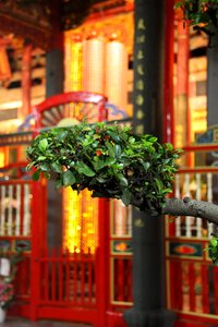 Temple complex buddhism buddhist temple