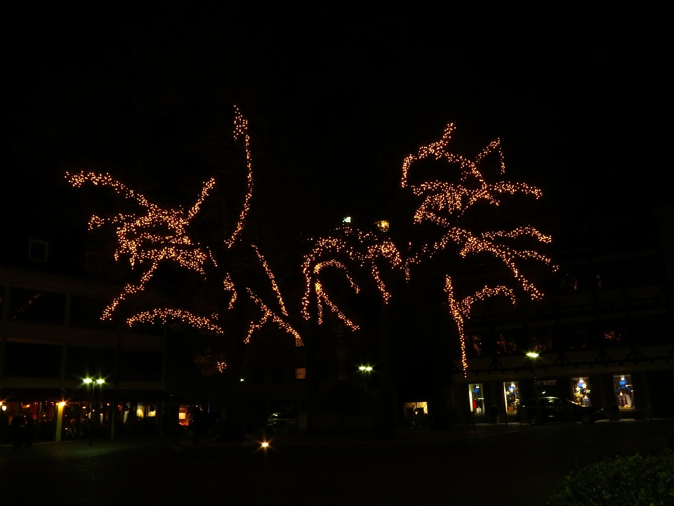 Lights lichterkette night photo