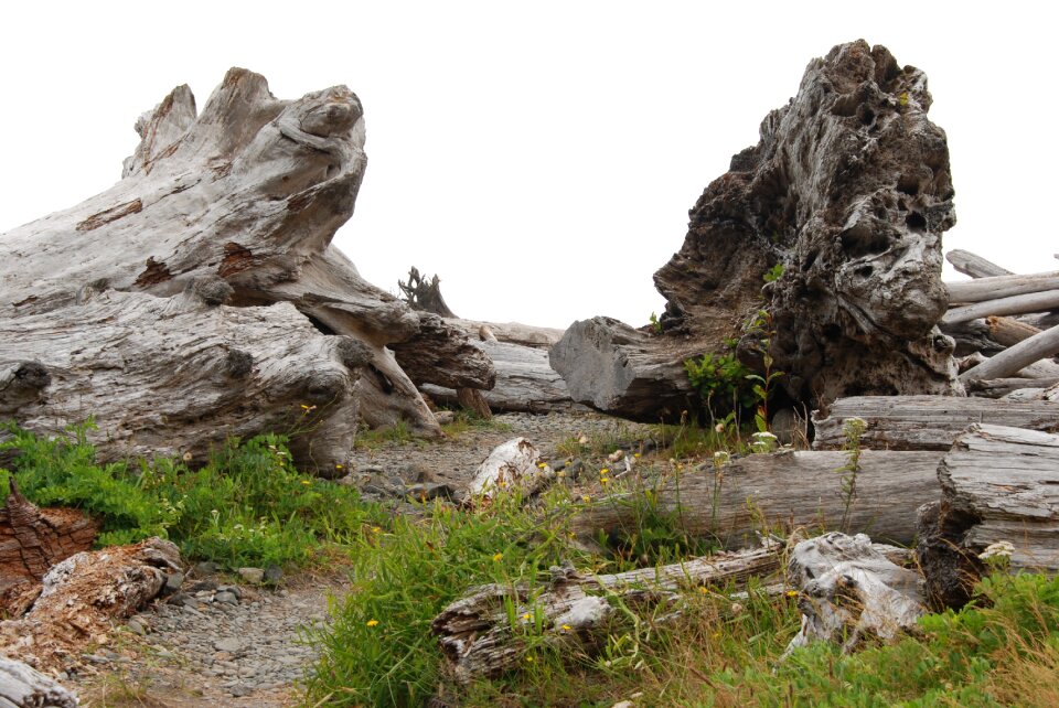 Sea nature landscape
