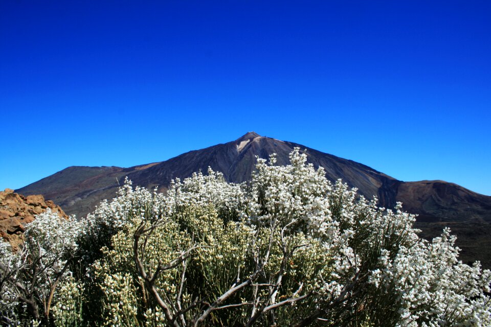 Spain teide nature