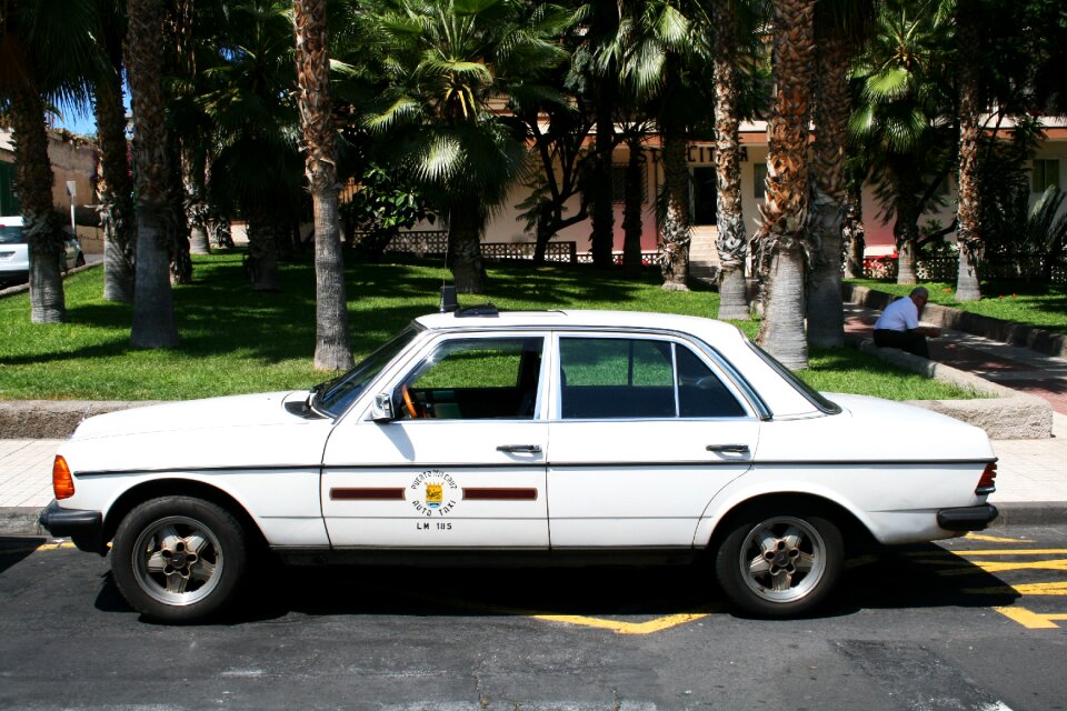 Taxi mercedes palm trees