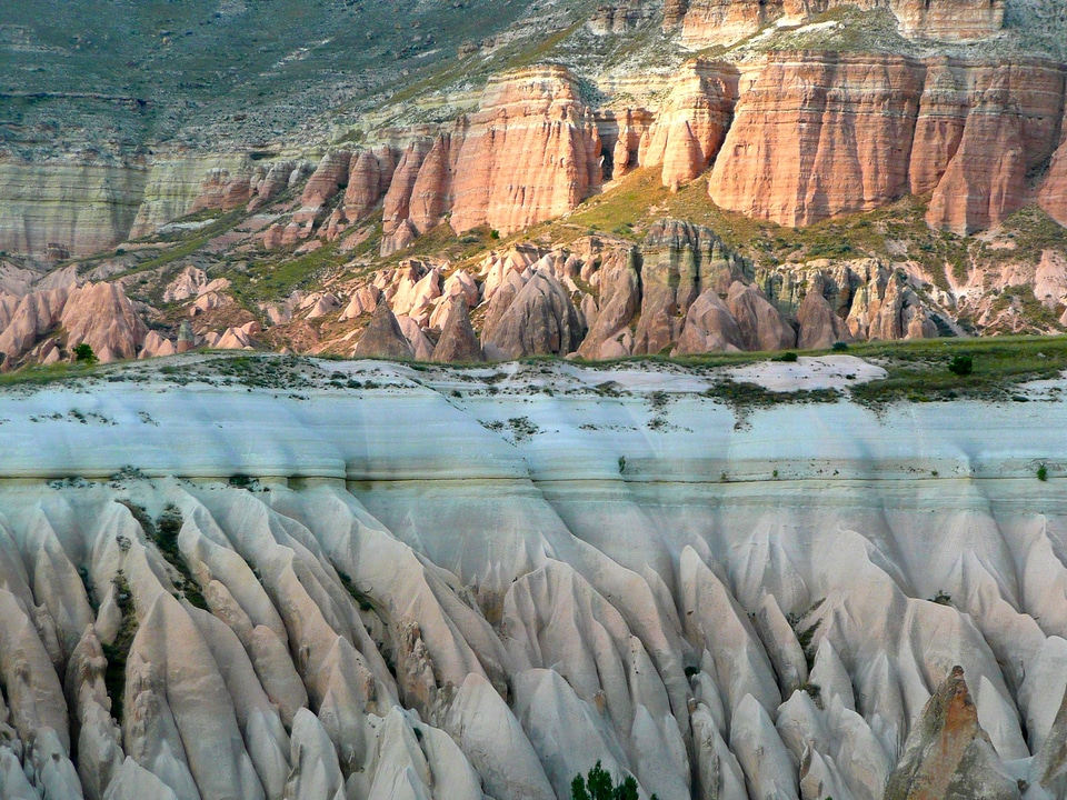 Rose valle turkey