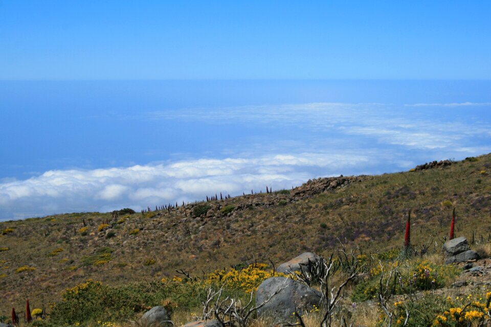 Spain teide nature
