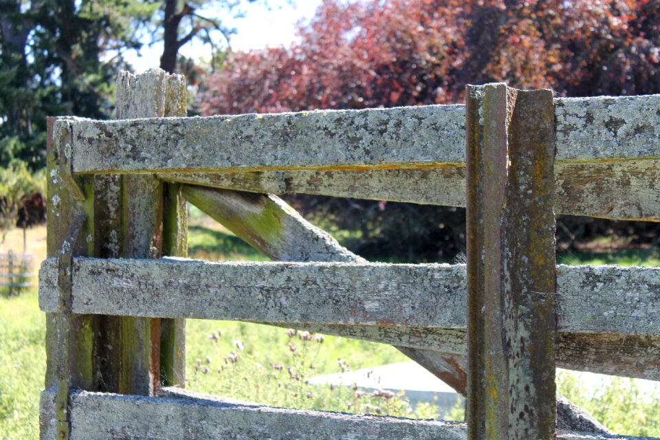 Old countryside
